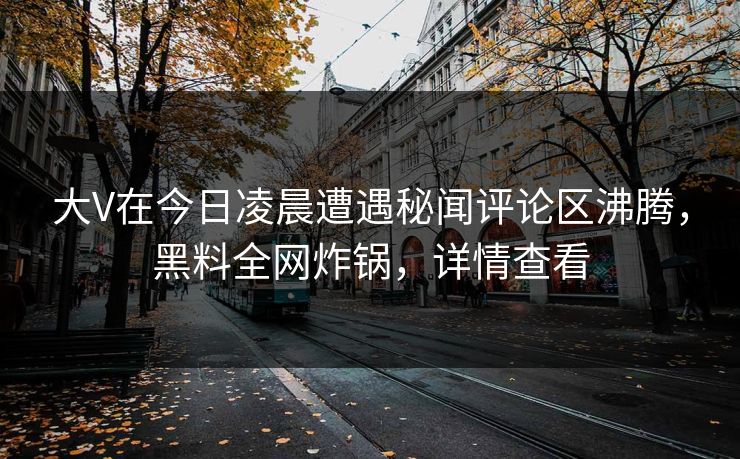 大V在今日凌晨遭遇秘闻评论区沸腾，黑料全网炸锅，详情查看