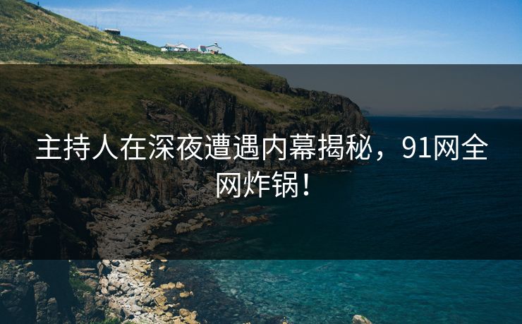 主持人在深夜遭遇内幕揭秘，91网全网炸锅！