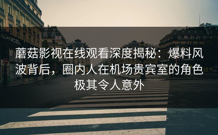 蘑菇影视在线观看深度揭秘：爆料风波背后，圈内人在机场贵宾室的角色极其令人意外