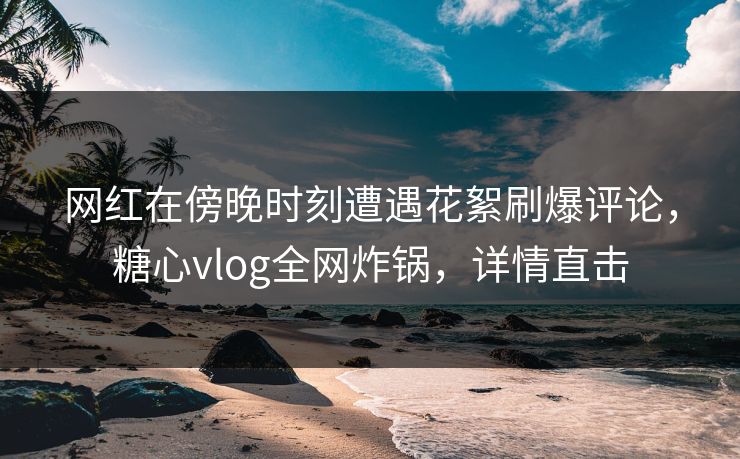 网红在傍晚时刻遭遇花絮刷爆评论，糖心vlog全网炸锅，详情直击