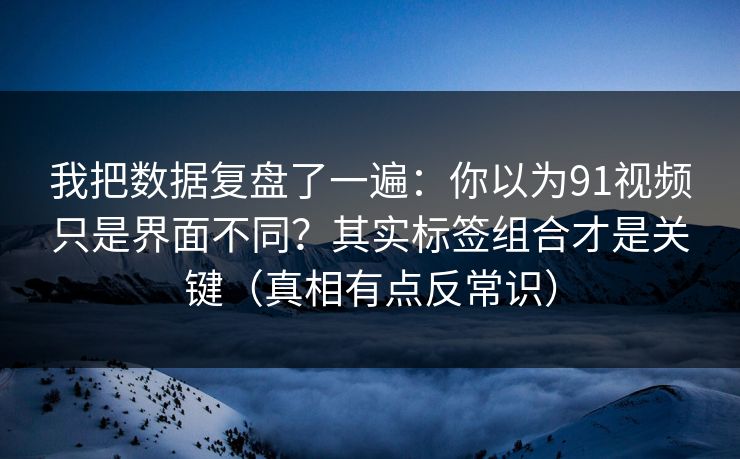 我把数据复盘了一遍：你以为91视频只是界面不同？其实标签组合才是关键（真相有点反常识）